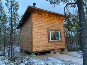 Aurora Husky Hut Inari